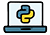 Programming Languages (Python, Java, C++) icon